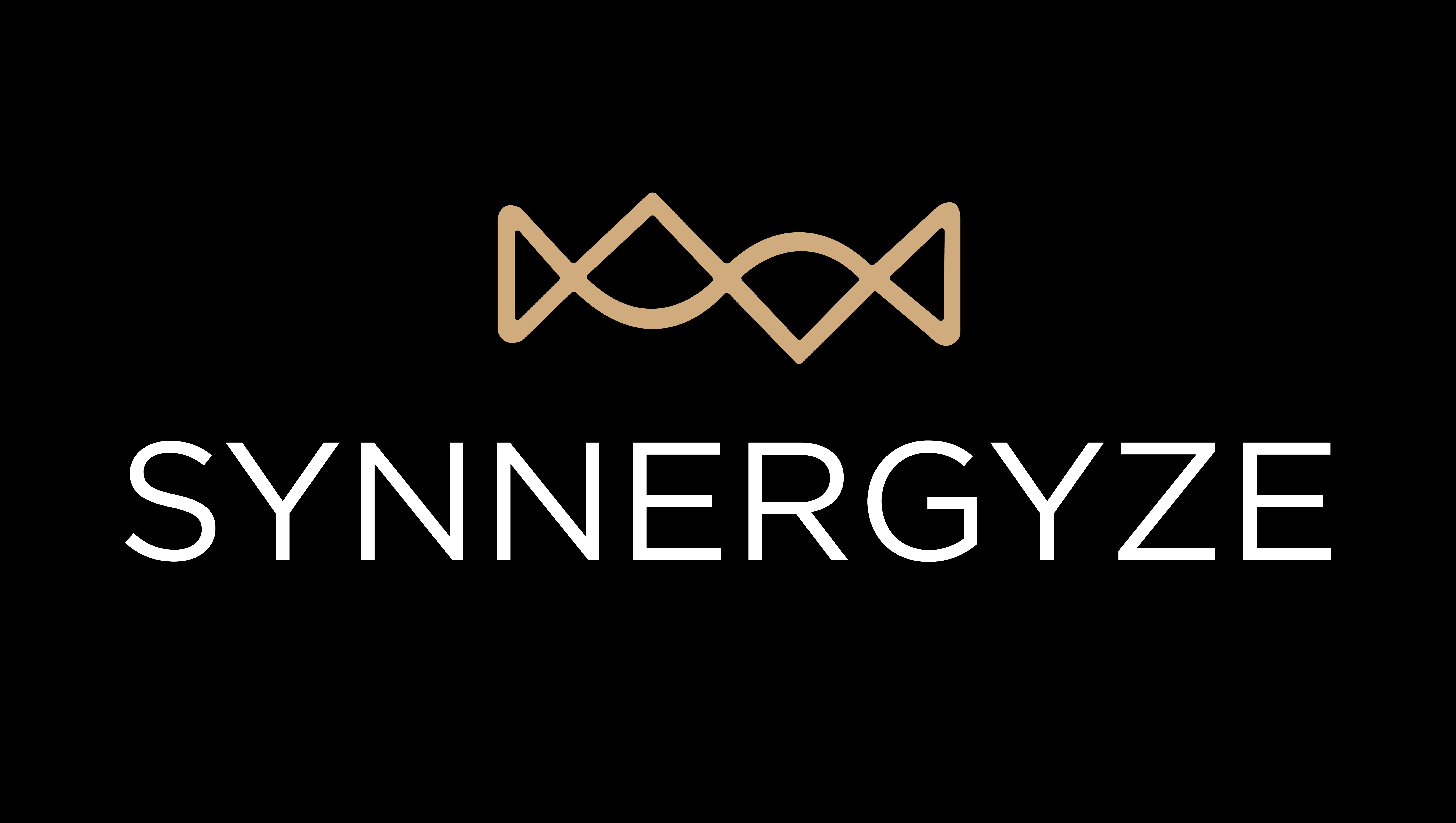 洋書 Synergy Matters Synergy+logistics.png